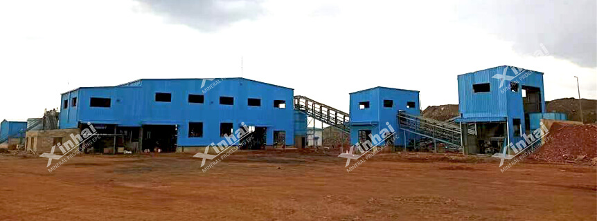 Congo 100tpd copper-cobalt flotation plant.jpg